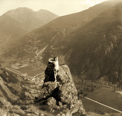 Male Nude Posing on a Rock in a Mountainous Valley by Unbekannt Unbekannt